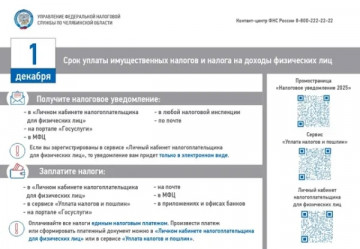 Кампания по уплате имущественных налогов за 2024 год»