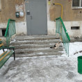 Благодарность за проделанную работу.