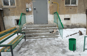 Благодарность за проделанную работу.